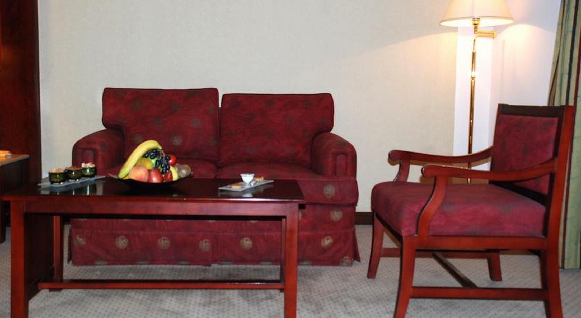 Safir Hotel Cairo Giza Exterior foto A living room